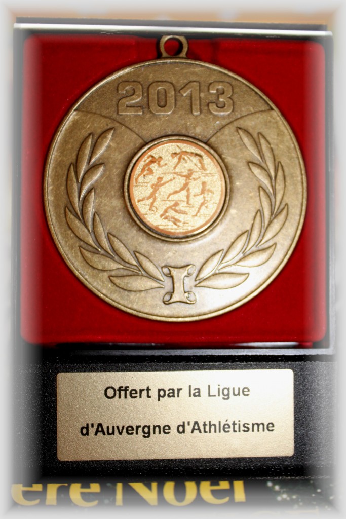Médaille Ligue AA 2013 (1)